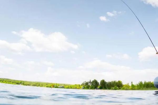 翻板钩能钓鲢鳙吗,翻板钩、串钩、水怪钩都可选择