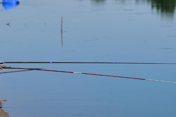 翻板钩能钓鲢鳙吗,翻板钩、串钩、水怪钩都可选择