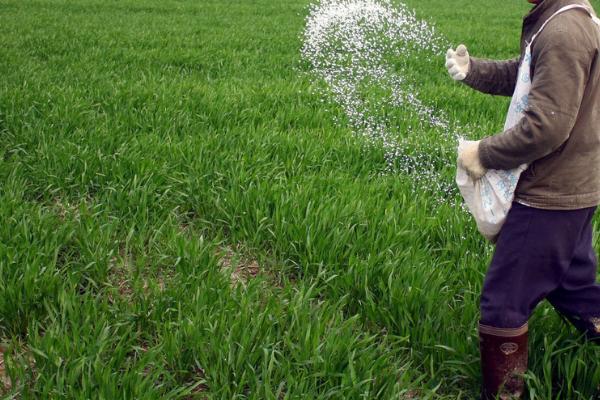 多肽尿素的使用方法,兑水稀释后可喷施叶片