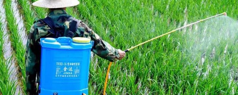 除草剂的适宜兑水量