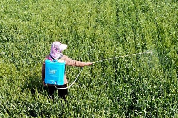 除草剂的适宜兑水量,会受到剂型、环境、器械等条件的影响