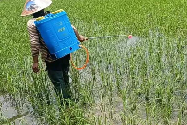 除草剂的适宜兑水量,会受到剂型、环境、器械等条件的影响