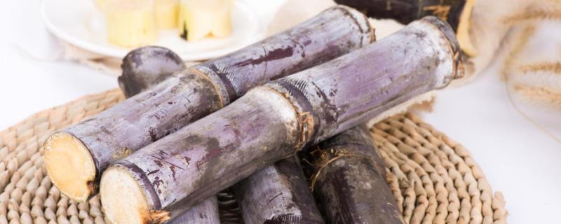 甘蔗的追肥方法