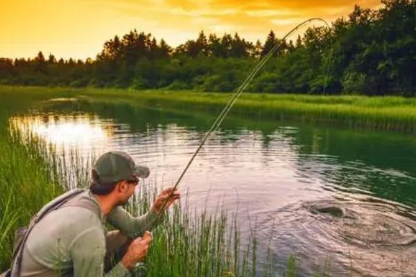 鲤鱼春天喜欢生活在哪里,深浅水交汇处较为常见