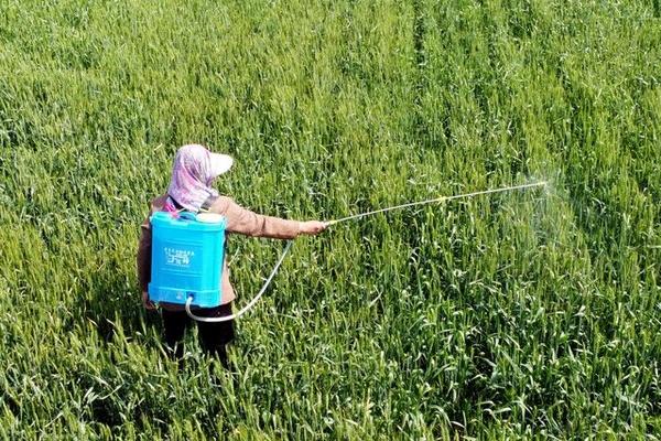 噻菌铜能否混配使用,可以混配且配方较多