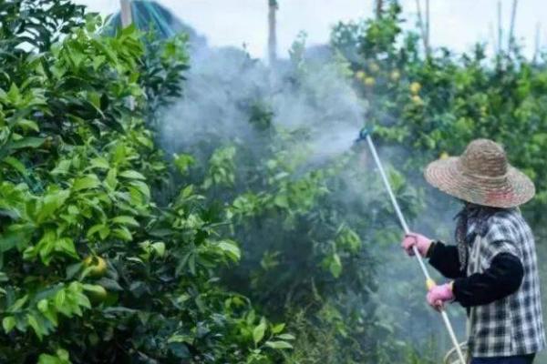 噻菌铜能否混配使用,可以混配且配方较多