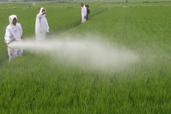 噻菌铜能否混配使用,可以混配且配方较多