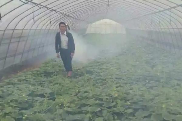 噻菌铜能否混配使用,可以混配且配方较多