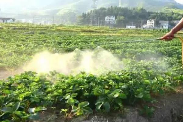 噻菌铜能否混配使用,可以混配且配方较多