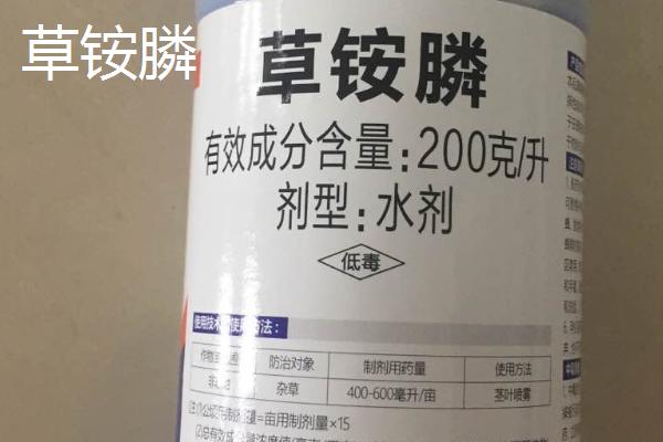 草甘膦和草铵膦有什么区别,前者是甘氨酸类药物、后者是膦酸类药物