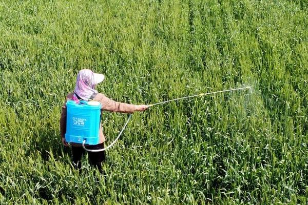 草甘膦和草铵膦有什么区别,前者是甘氨酸类药物、后者是膦酸类药物