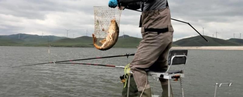 水库涨水好钓鱼吗