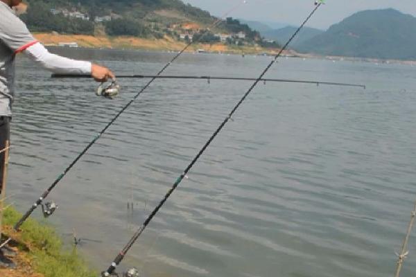 水库涨水好钓鱼吗,要采取正确方式