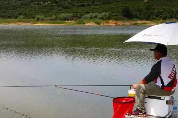水库涨水好钓鱼吗,要采取正确方式
