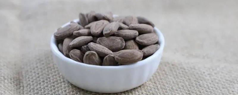 吊瓜子怎么种植