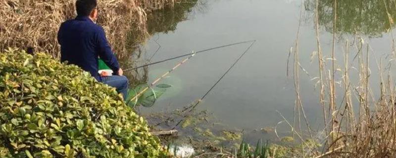 五月什么风向好钓鱼