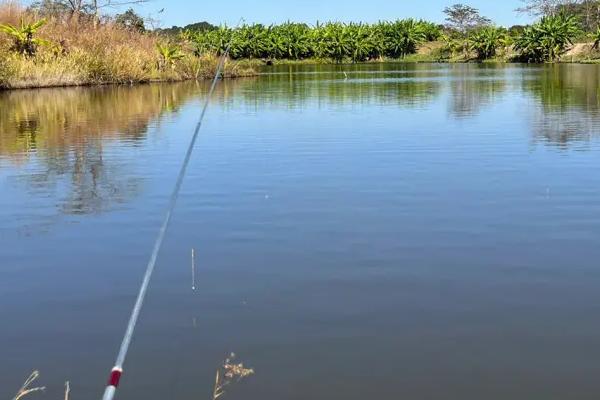 五月什么风向好钓鱼,刮南风或东南风时好钓鱼