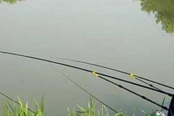 五月什么风向好钓鱼,刮南风或东南风时好钓鱼