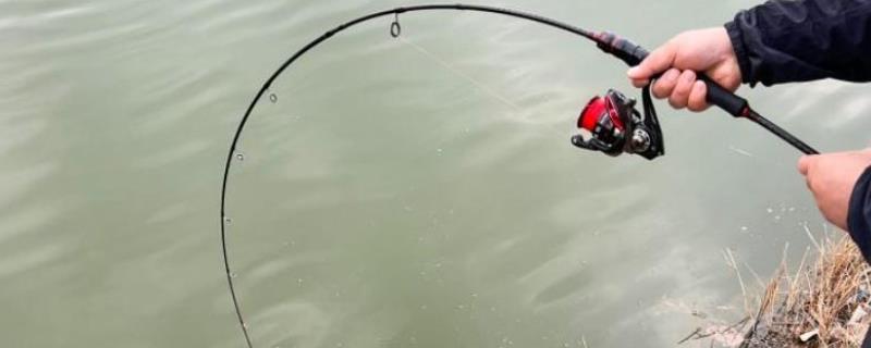 路亚竿m和l哪个好用