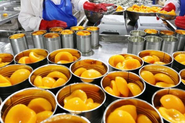 膨化苹果脯怎么加工,需经历选料、硬化、糖煮、膨化等步骤