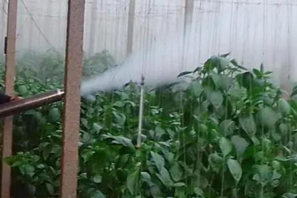 微量元素水溶肥怎么使用,和有机肥搭配使用效果更好