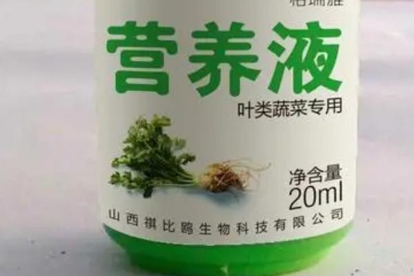 空心菜的水培方法,需将幼苗放在浮水材料上面固定住