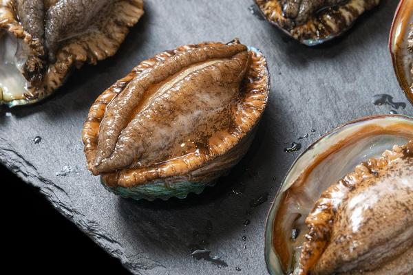 鲍鱼是不是海鲜,属于比较名贵的海鲜