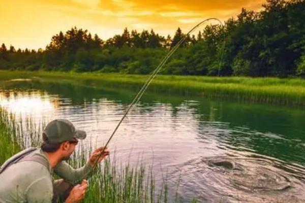 冬季能不能垂钓鲈鱼,可以垂钓但难度较高