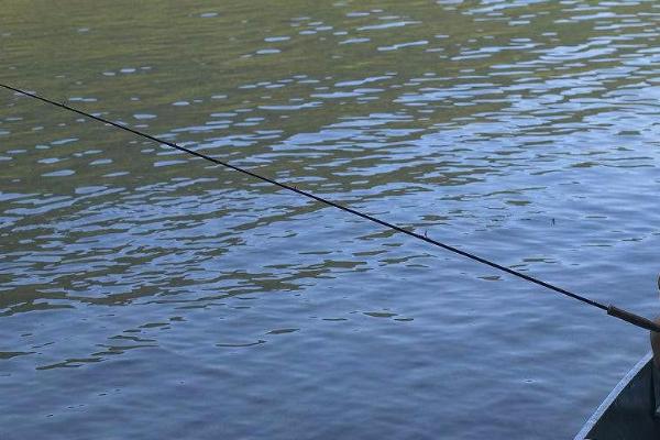 冬季能不能垂钓鲈鱼,可以垂钓但难度较高