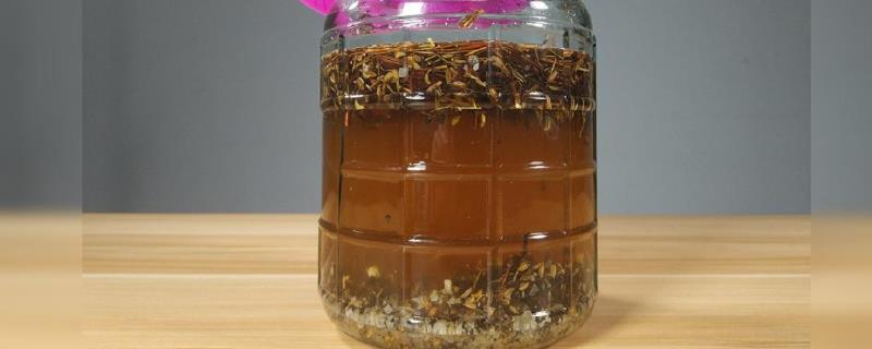 垂钓鲤鱼能不能使用药酒