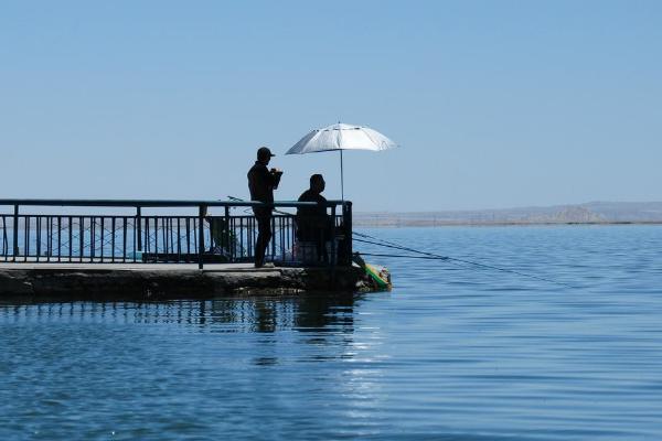 垂钓鲤鱼能不能使用药酒,可以使用且诱鱼效果较好
