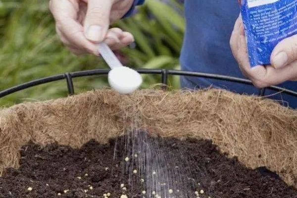 花卉如何根外施肥,一般可以喷施