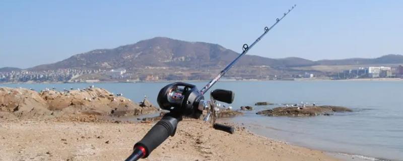 路亚竿能不能作为海竿使用