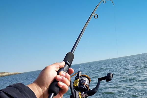 路亚竿能不能作为海竿使用,二者的用法不同、通常不能当作海竿