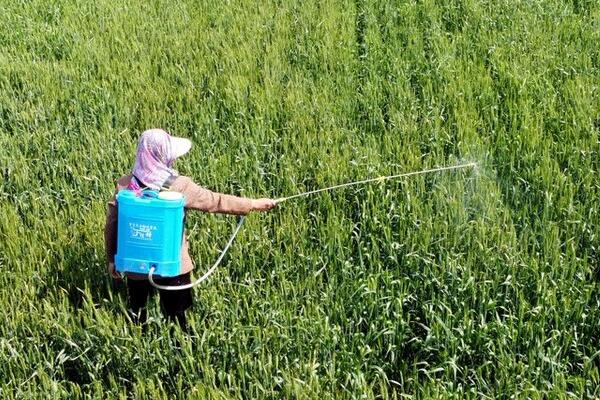 怎么制作叶面肥,肥料兑水溶解、稀释即可
