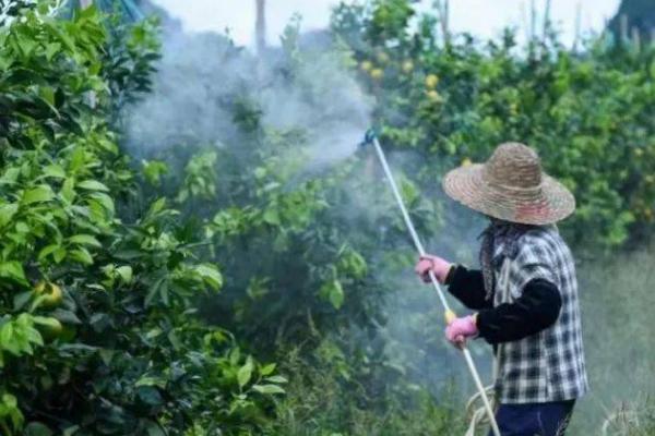 怎么制作叶面肥,肥料兑水溶解、稀释即可