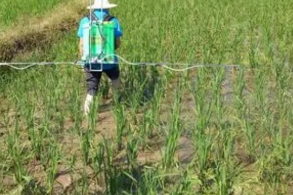 怎么制作叶面肥,肥料兑水溶解、稀释即可