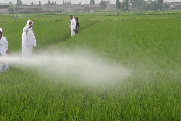 氧乐果和乐果的区别,氧乐果是高毒药物、乐果是中毒药物