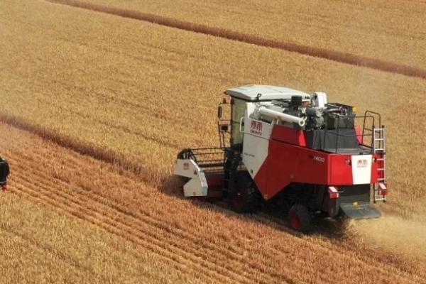 小麦联合收获机使用后怎么保养,磨损超标的脱粒弓齿要及时更换