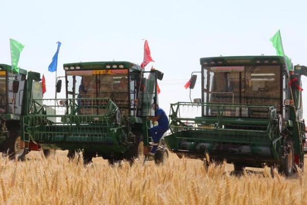 小麦联合收获机使用后怎么保养,磨损超标的脱粒弓齿要及时更换