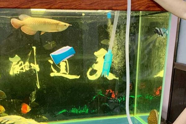 鱼缸带过滤隔多长时间换一次水,可以每隔两周换一次