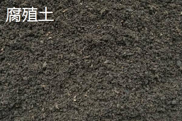腐叶土和腐殖土的区别,基质、颜色和用处都不同