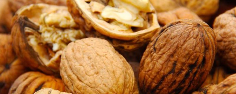 核桃种子处理方法