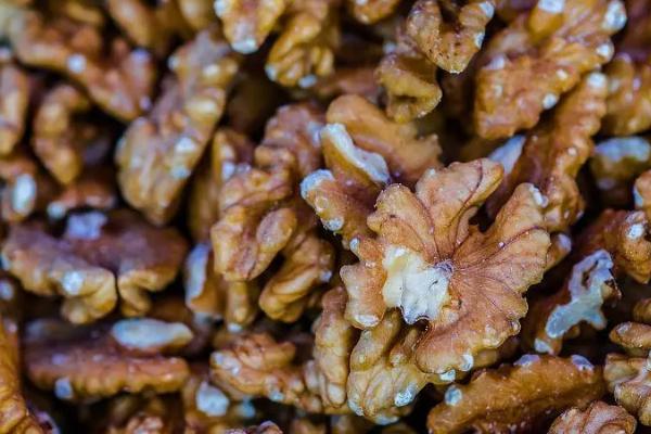 核桃种子处理方法,常见这4种