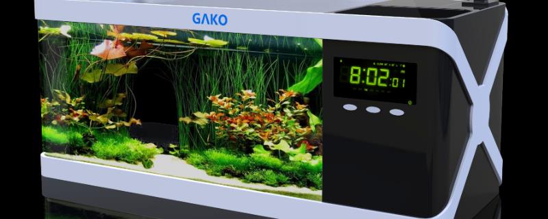 家用小鱼缸如何换水