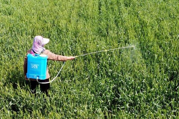 杀虫双的药效持续时间,一般为10天左右