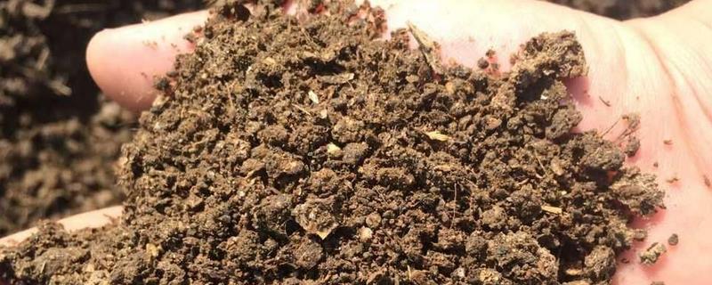 鸡粪有机肥适合哪些农作物