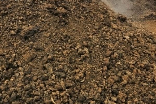 鸡粪有机肥适合哪些农作物,适合蔬菜和果树类