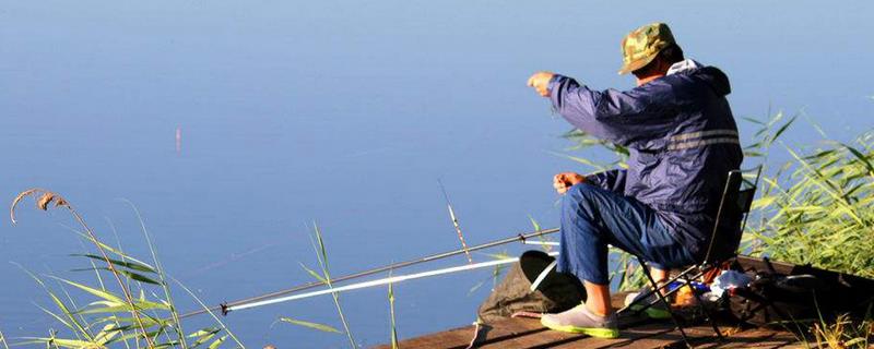 钓鱼几号线怎么选择