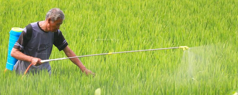 促根剂的使用方法